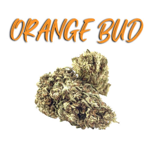Los Greengos CBD - Orange Bud Indoor CBG 10%